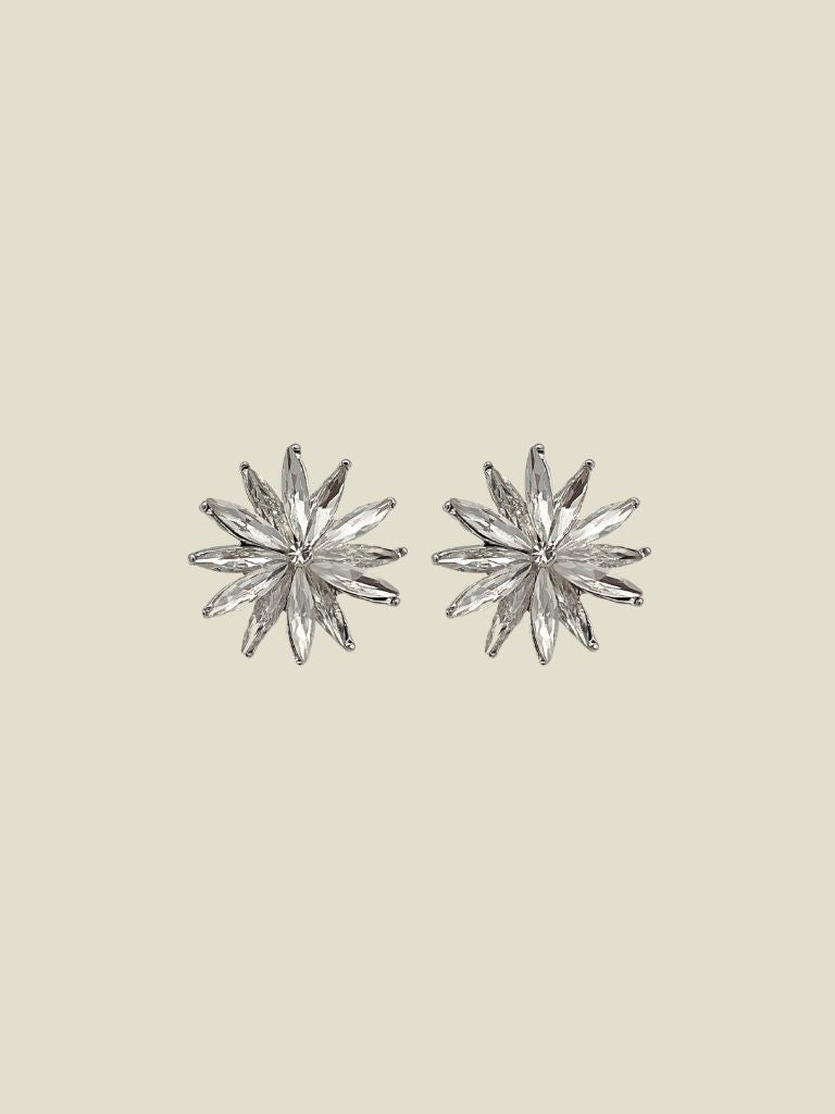 Funky Earrings (Set) Diamond Stones Flower Silver