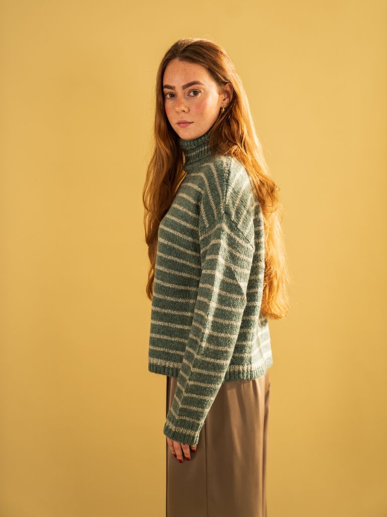 Pull Silvy Turtleneck Green