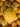 Vase Lemon