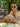 Sunglasses Svea Gold