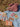 Hand Fan Jardin Flowers