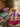 Plaid Swedish Wool Gotland Cerise