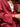 Shirt Shaelan Rhododendron