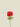 Anemone Fuchsia 36cm