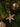 Ornament Beaded Starfish