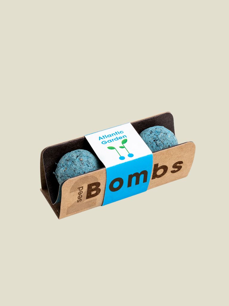 Biodiversity Bombs Atlantic Garden