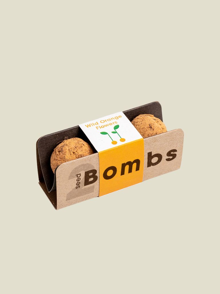 Biodiversity Bombs Wild Orange Flowers