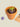 Biodiversity Bombs Wild Purple Flowers