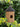 Birdhouse Rattan
