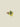Bottle Stopper Lemon