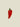 Broche Red Pepper
