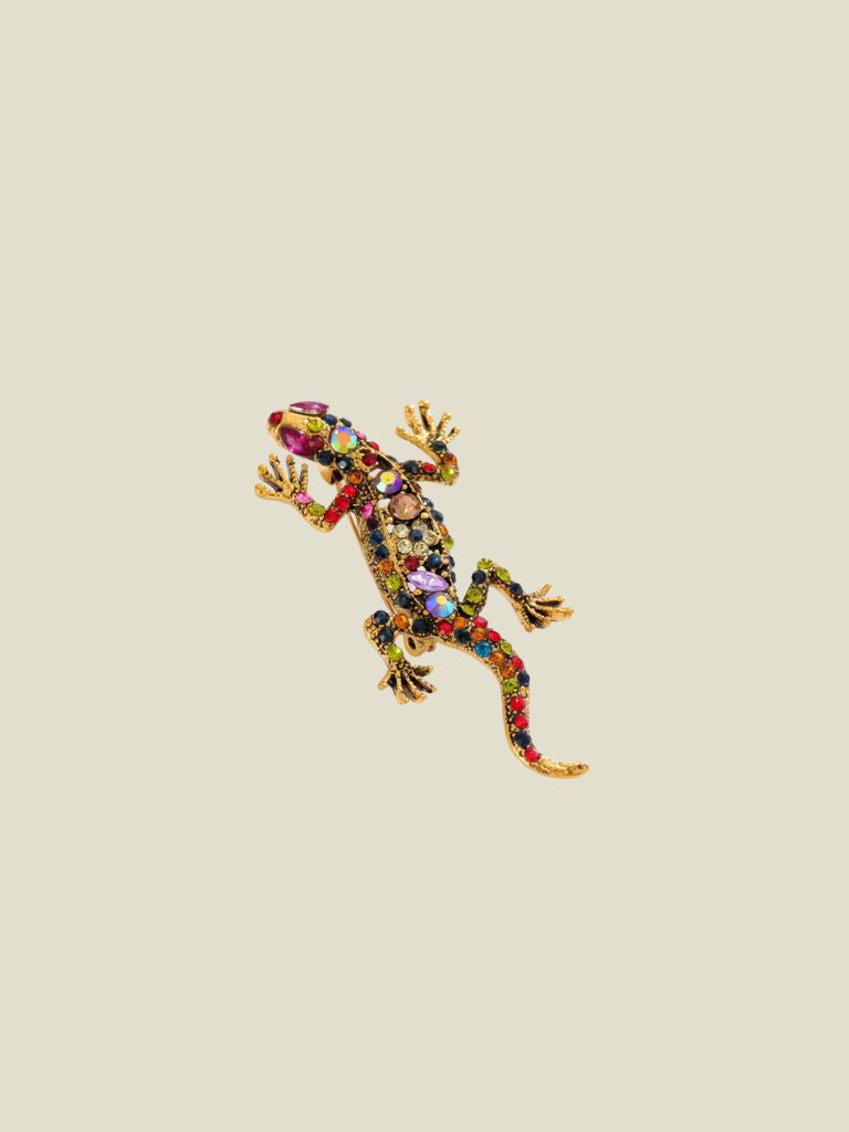 Broche Salamander Colourful