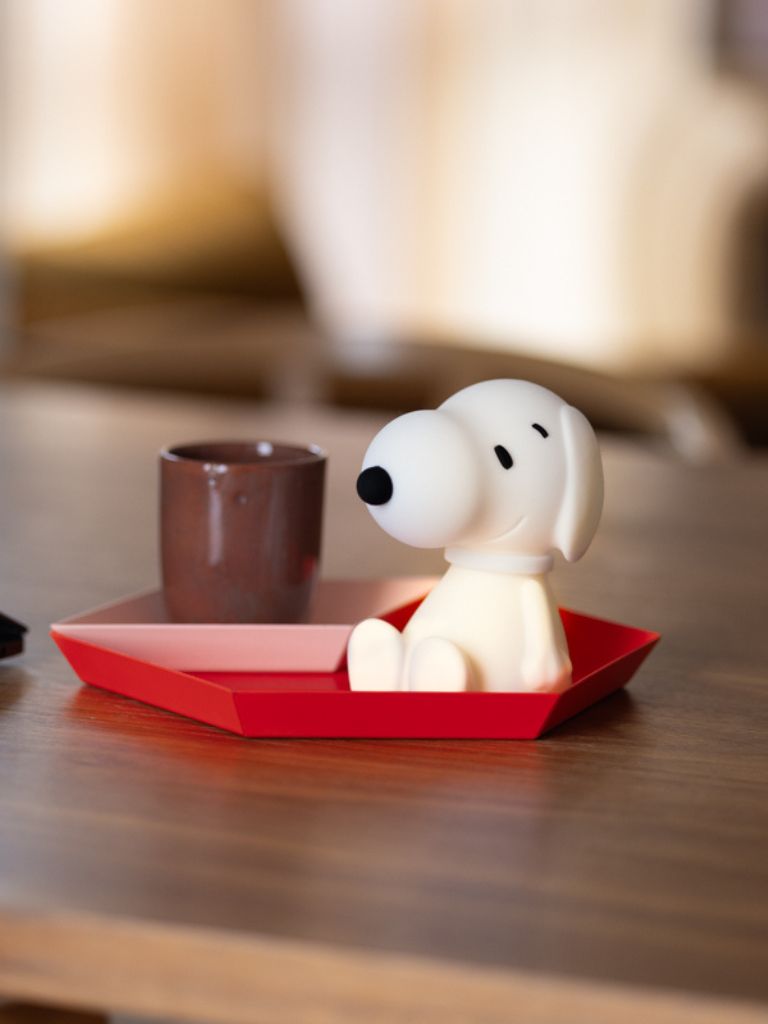 Bundle of Light Snoopy