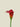 Calla Lily Spray M 76cm