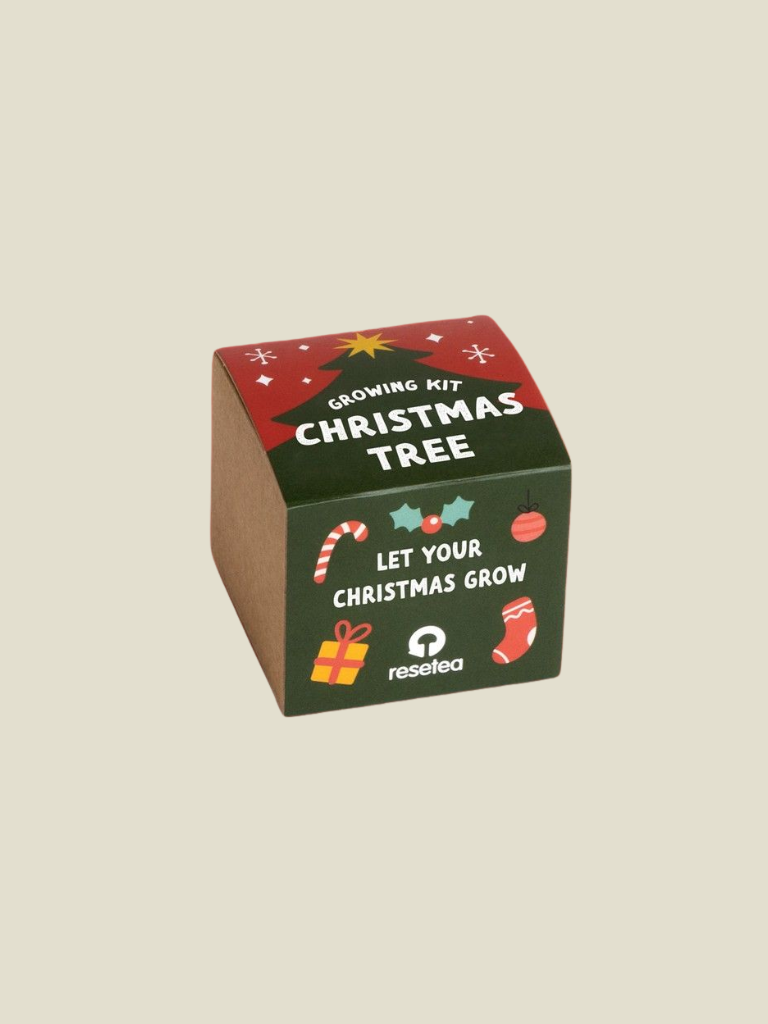 Christmas Tree Growing Kit