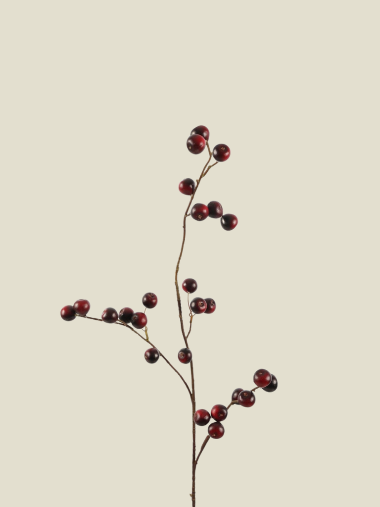 Crab Apple Wine 97cm