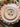 Dinner Plate Pink Scalloped