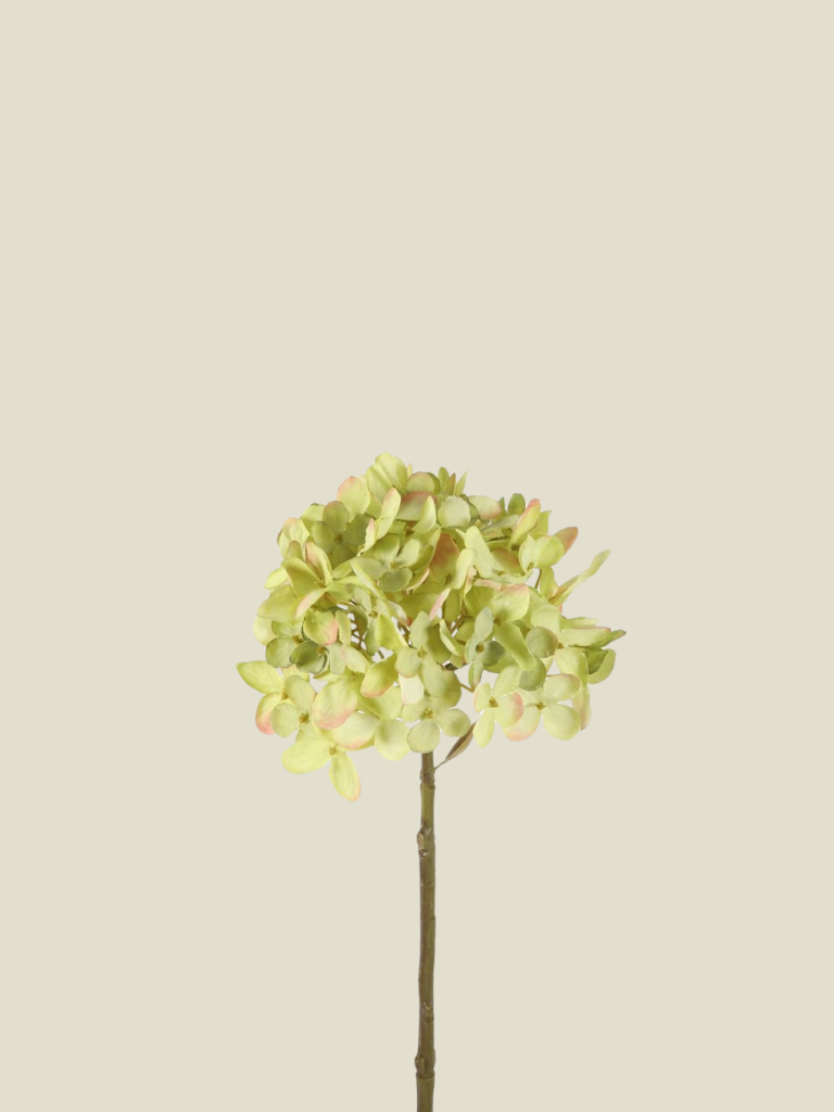 Dry Hydrangea Green 44 cm