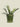 Flower Pot Saucer Green 18