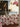 Tablecloth Garden Reverie