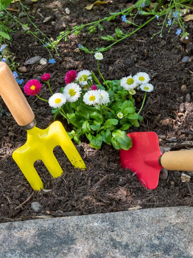 Gardening Tools Ladybird