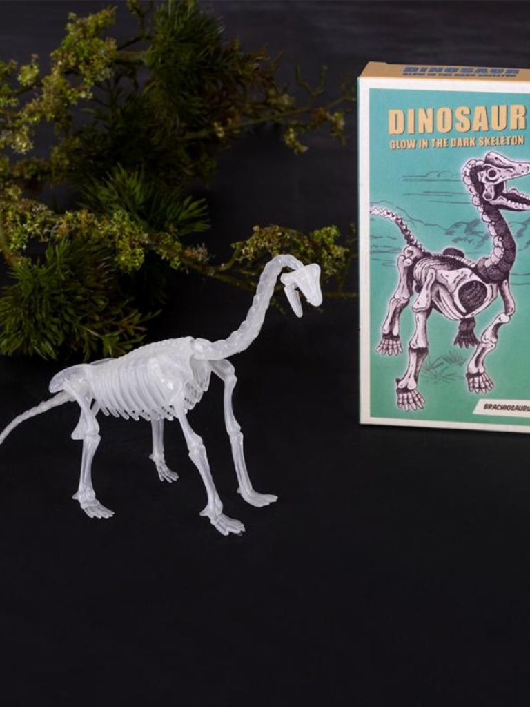 Glow In The Dark Dino Skeletons