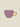 Goodmorning Cup Cappuccino Hyacinth