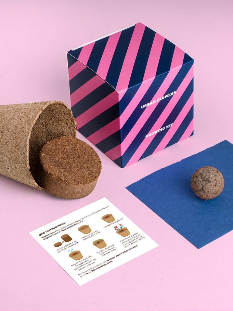 Growing Kit Urban Flowers Bleus