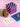 Growing Kit Urban Flowers Bleus