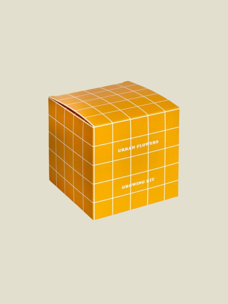 Growing Kit Urban Flowers Jaune