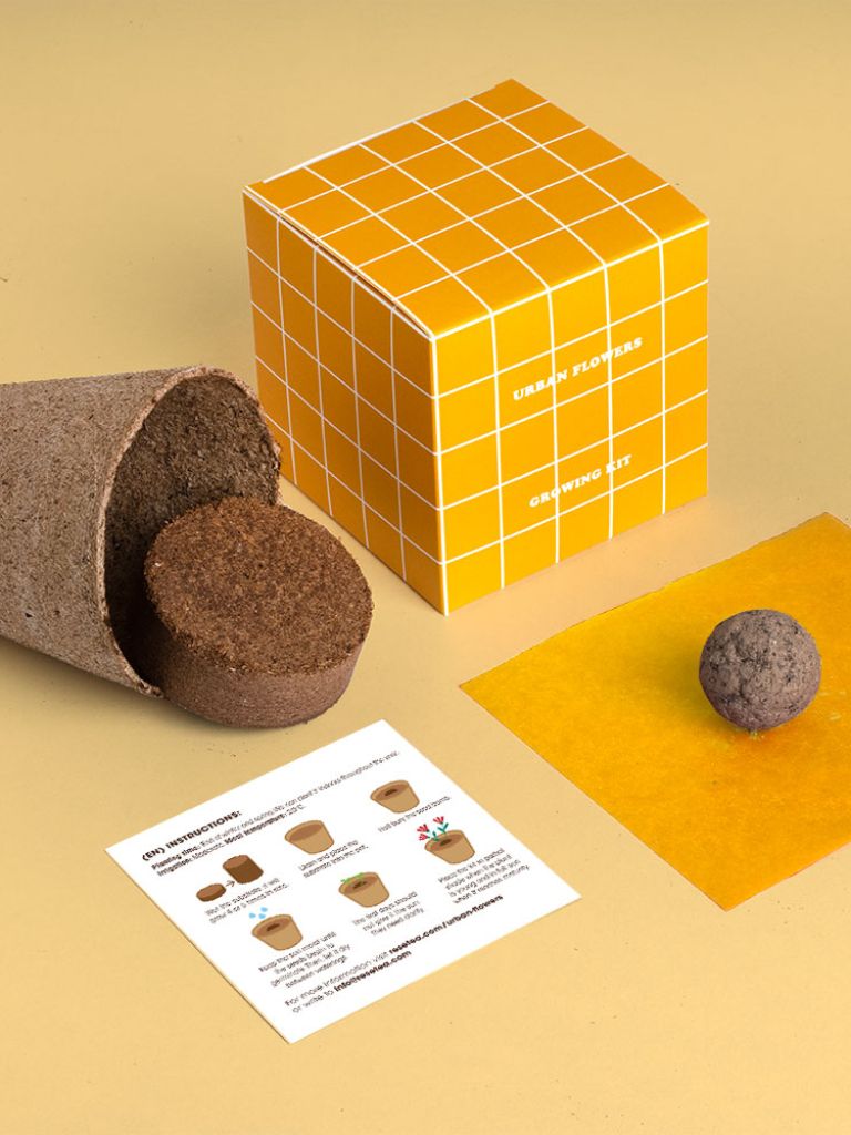 Growing Kit Urban Flowers Jaune