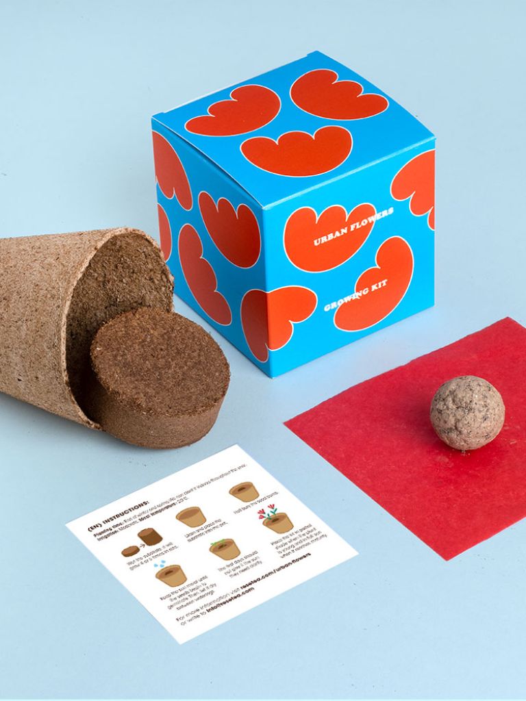 Growing Kit Urban Flowers Rouge