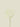 Gypso Spray White 73cm