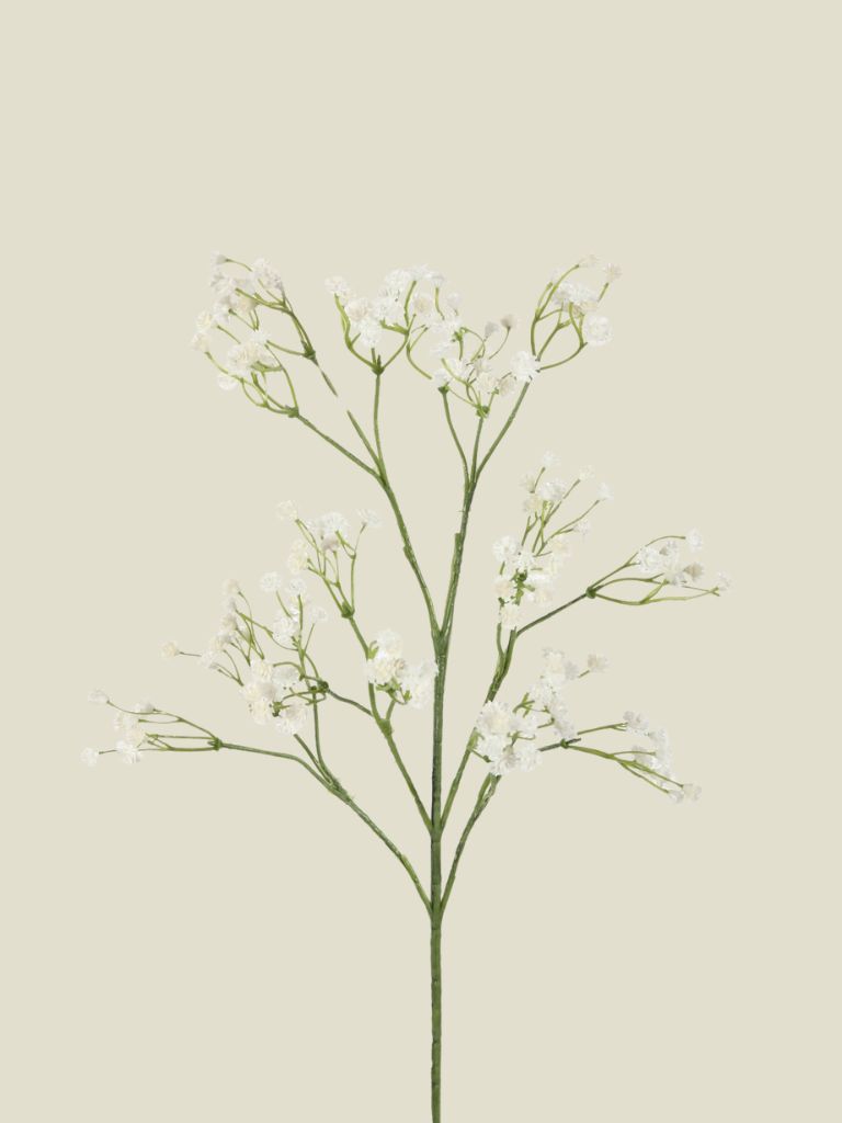 Gypsophilia Spray White 64cm