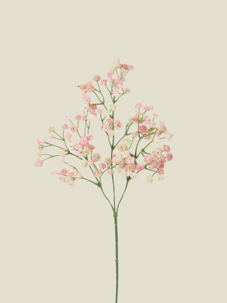 Gypsophilia Stem Pink