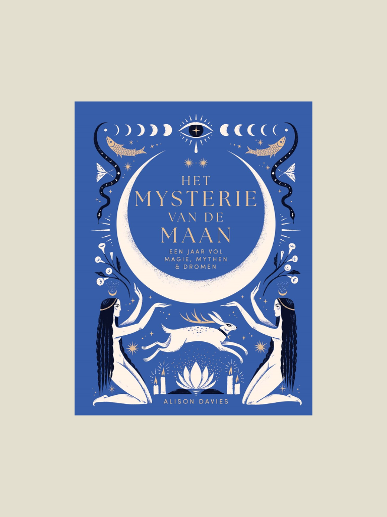 Boek Het Mysterie Van De Maan
