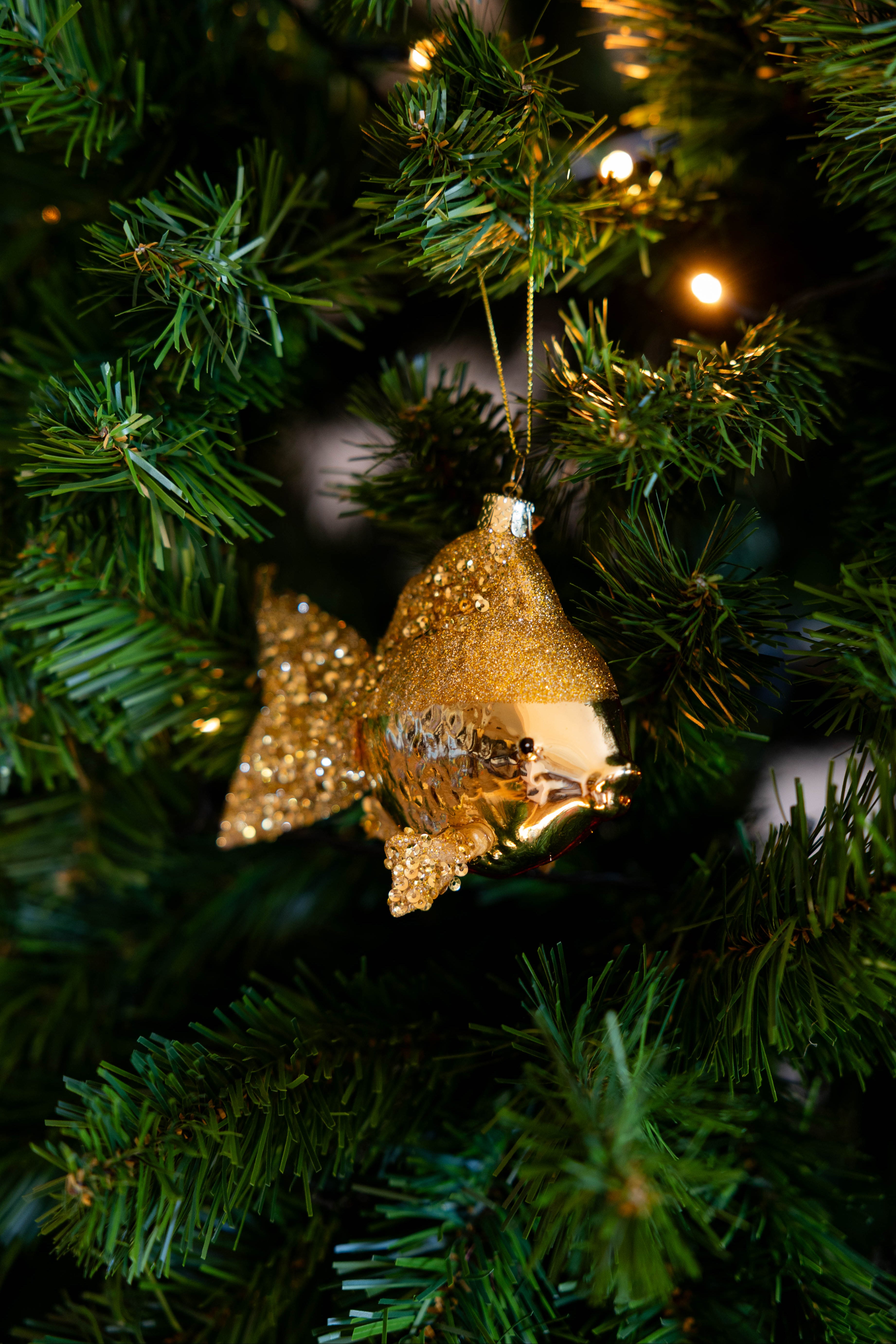 Ornament Gold Fish