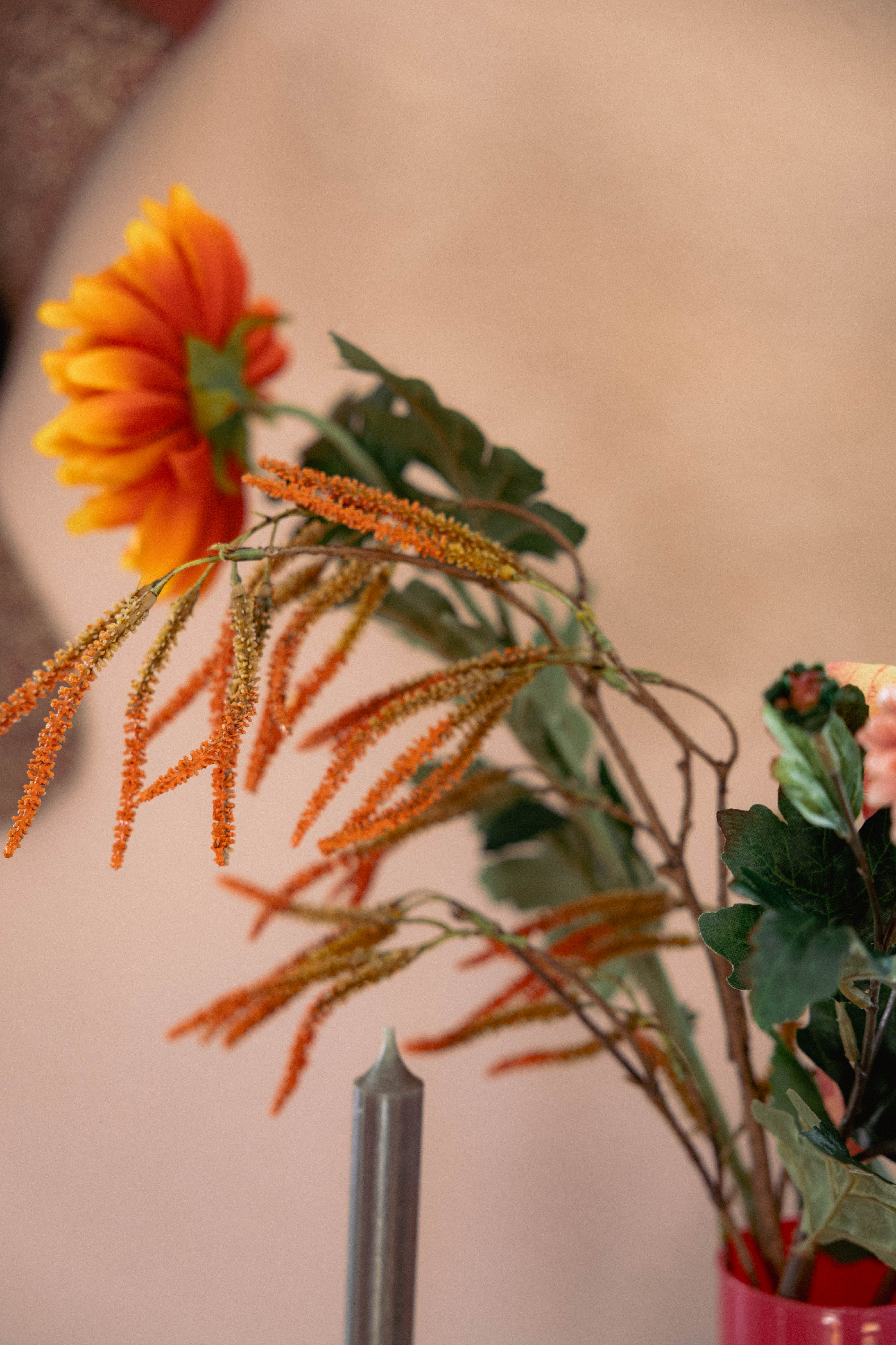 Amaranthus Spray 76cm