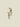 Hook Marie Coral Small