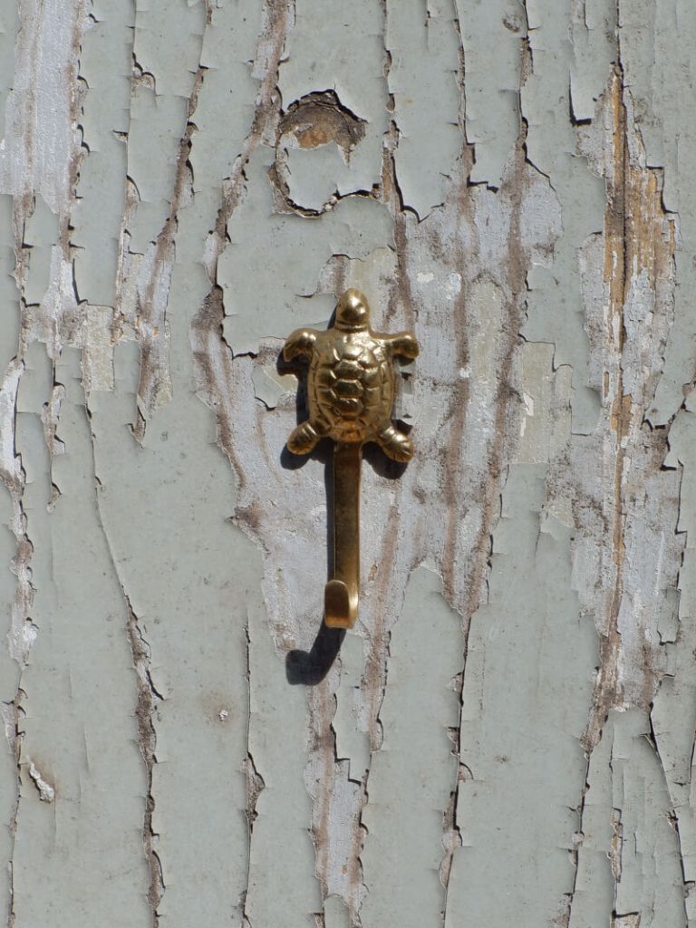 Hook Tommy Turtle Mini