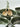Oven Dish Square Green