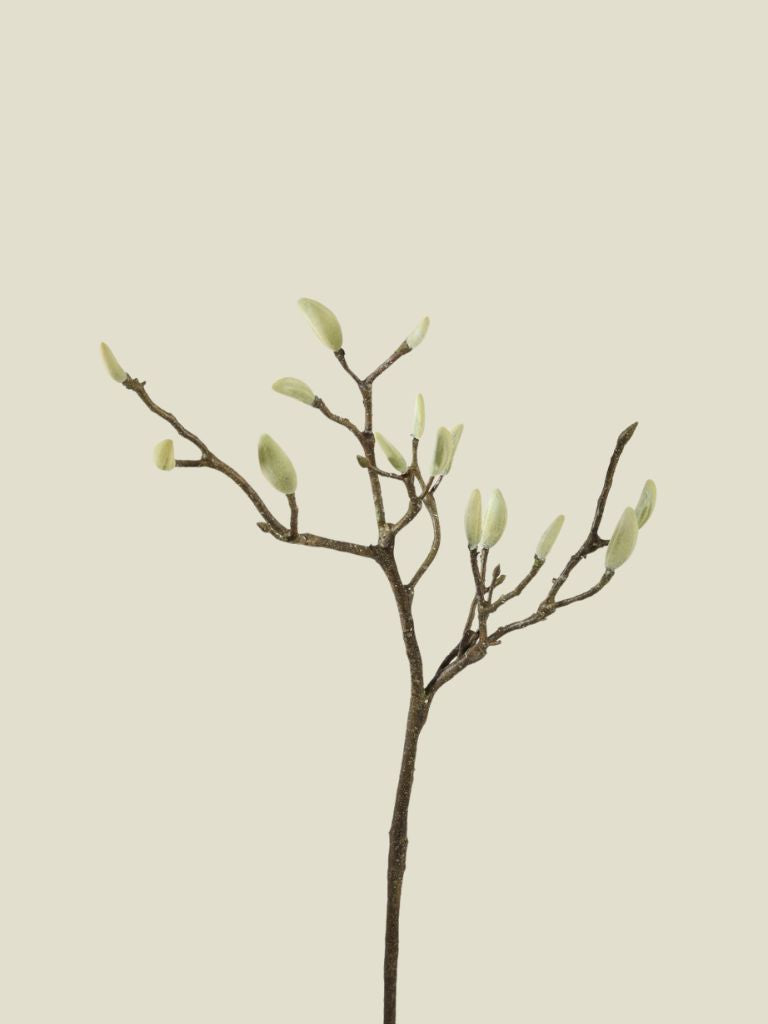 Magnolia Deadwood Spray 77 cm