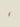 Pendant Ceramics Shell Beige
