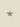 Pendant Golden Starfish