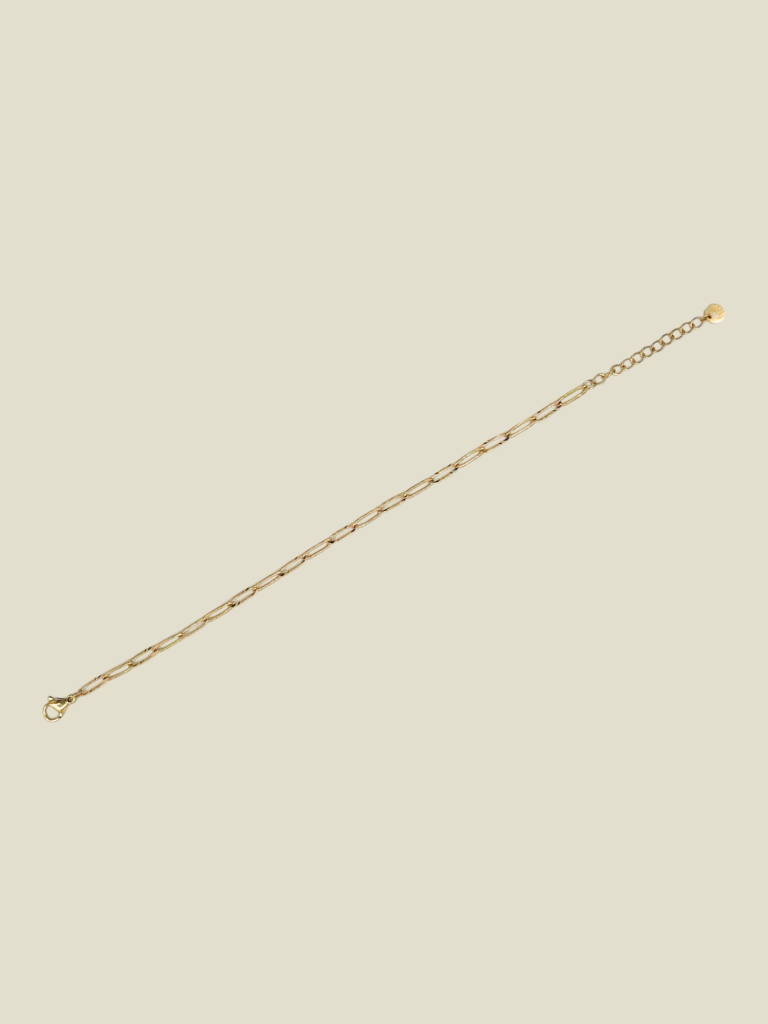 Bracelet Shiny Chain Gold