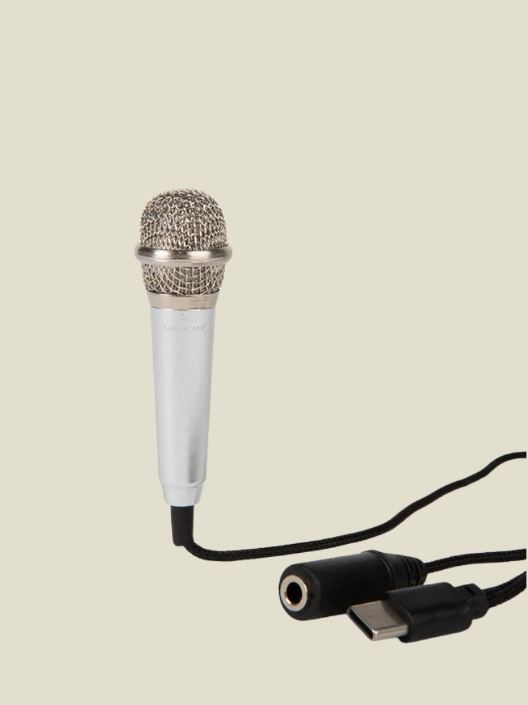 Plug & Play Microphone
