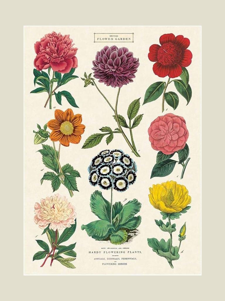 Poster Botanica 2