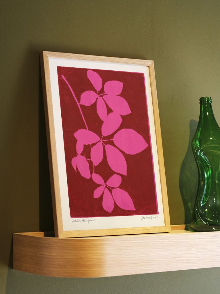 Poster Printed Plant Albiflorus
