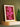 Poster Printed Plant Albiflorus
