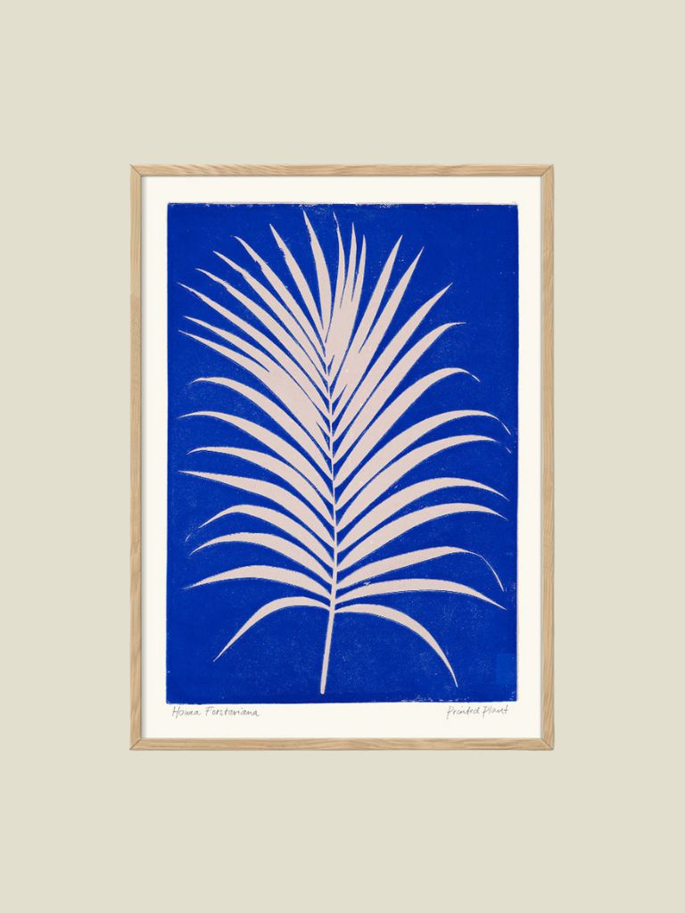 Poster Printed Plant Howea